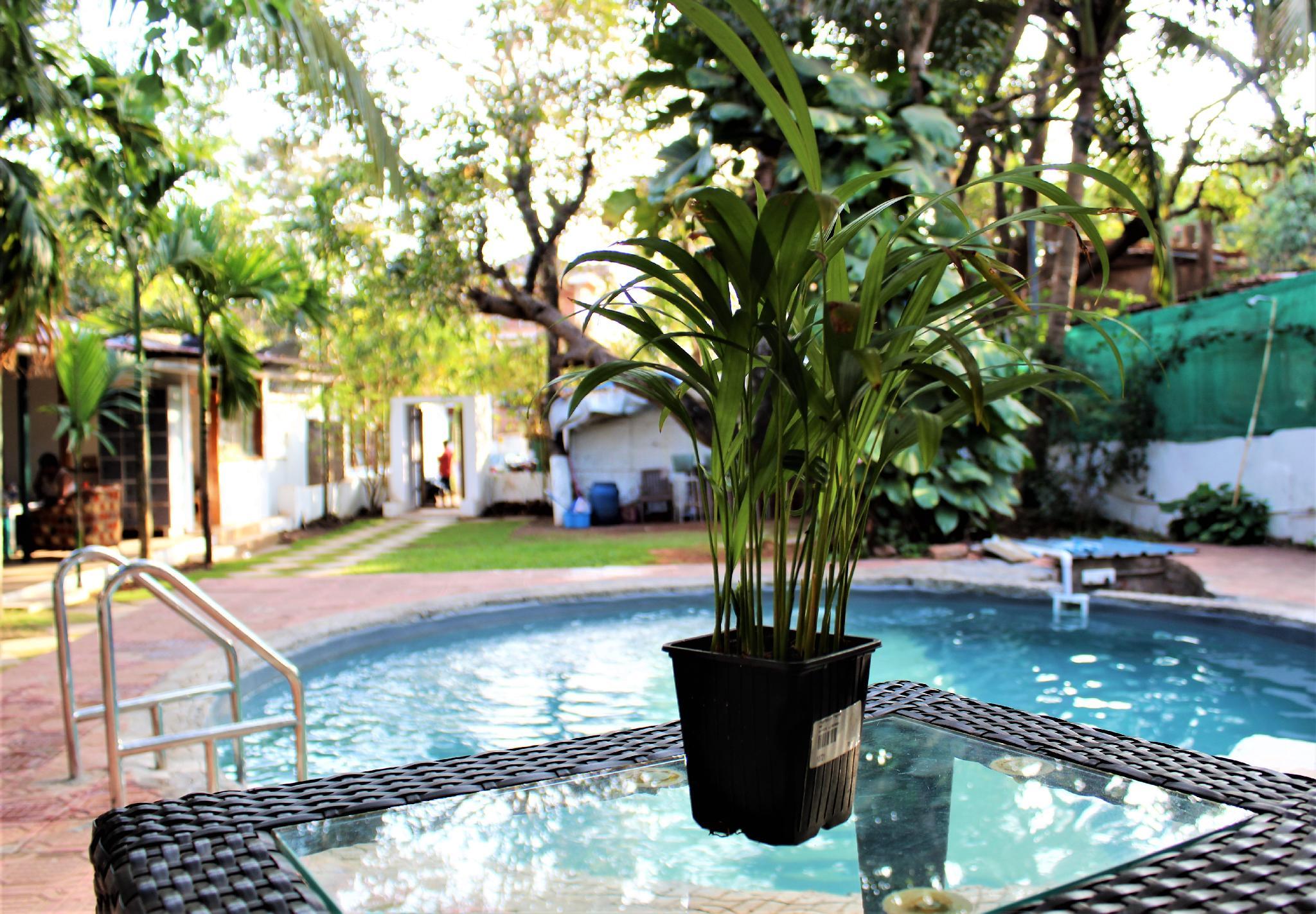 Cocos Resort 22/24