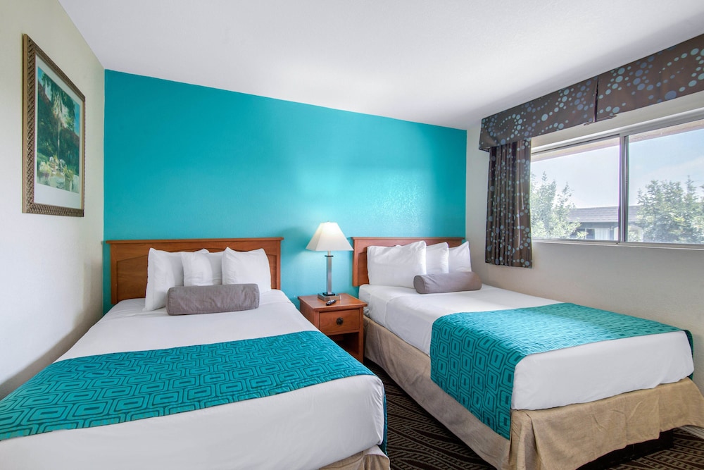 Studio, Suite, 2 Double Beds, Sofa, Kitchen