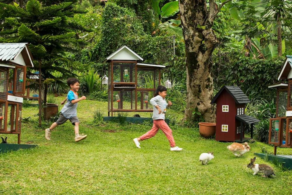 Novus Giri Resort Spa 55/71