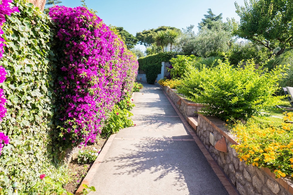 Villa Ceselle 32/50