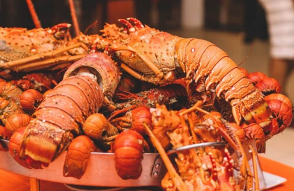プラタジ ビーチ オールインクルーシブ リゾート 写真2
