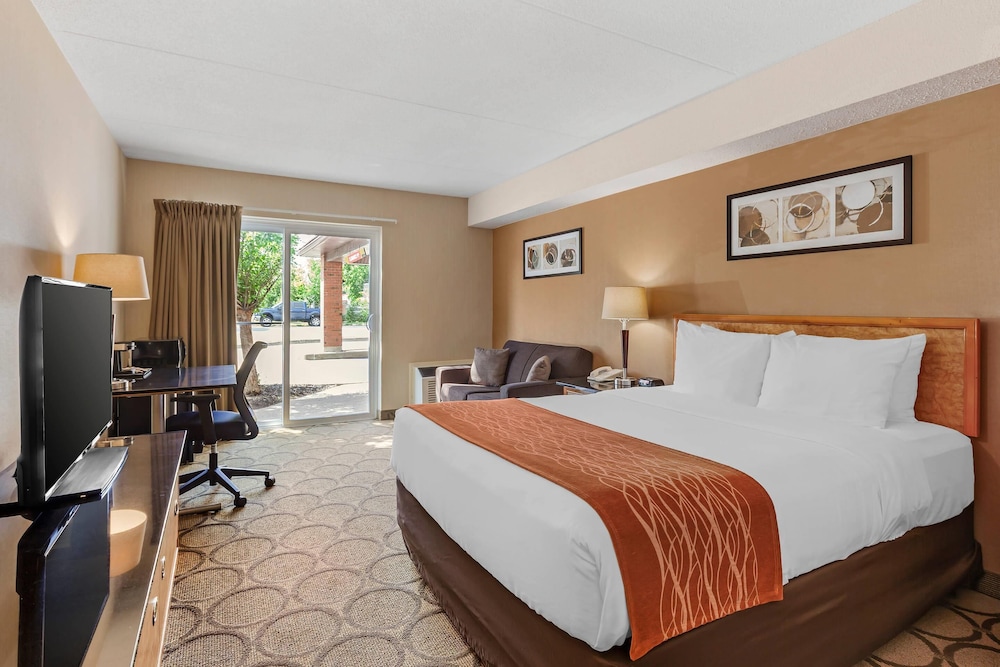 Comfort, Queen Bed, Sofa