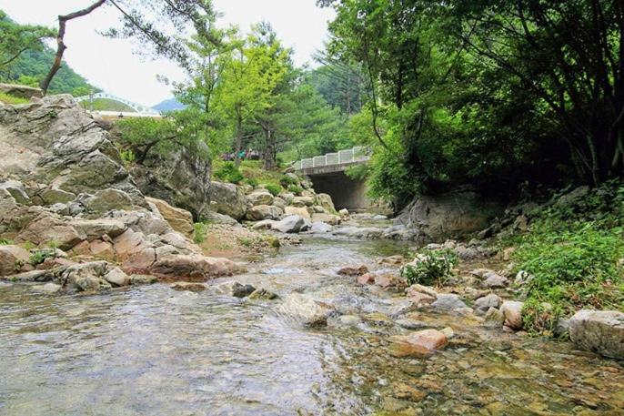 Yangpyeong Over The Mountain Pension 29/35