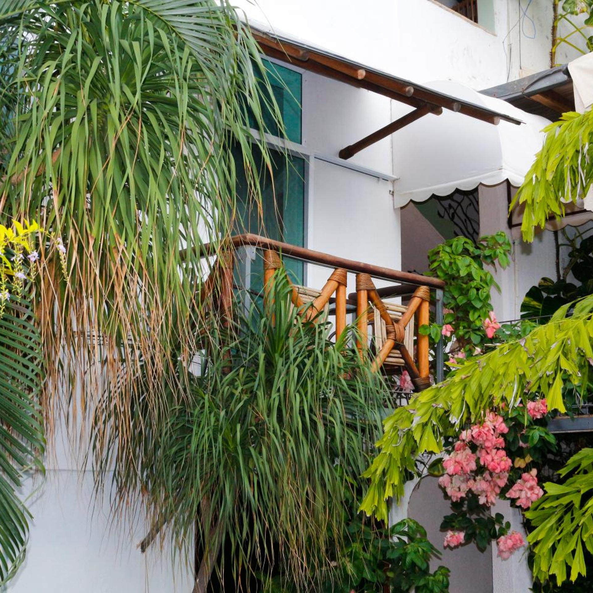 Hotel Careyes Puerto Escondido 5/50