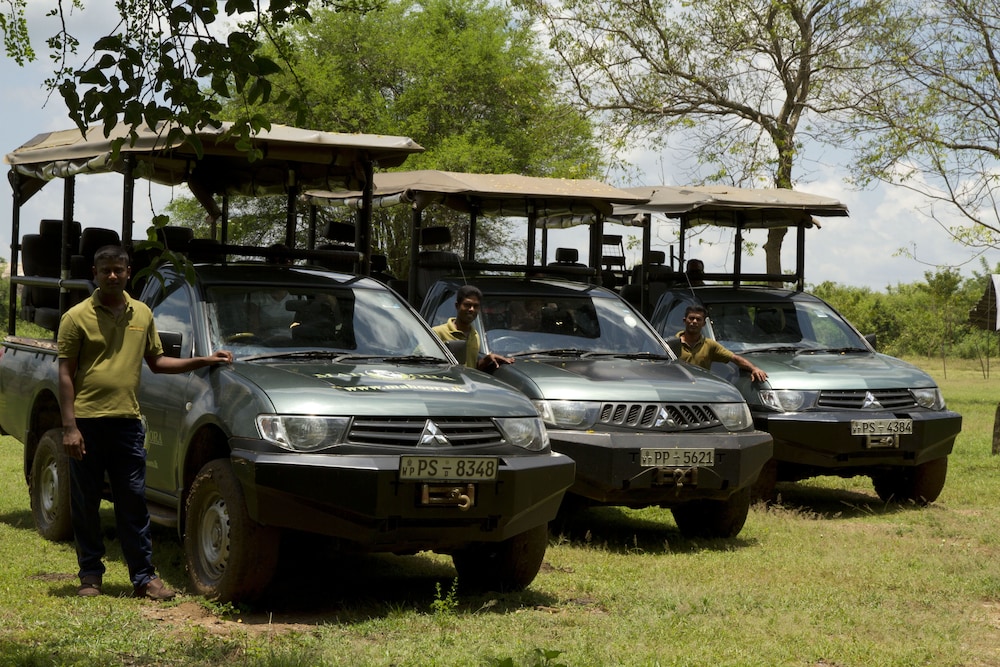 Mahoora Tented Safari Camp - Yala 1/50