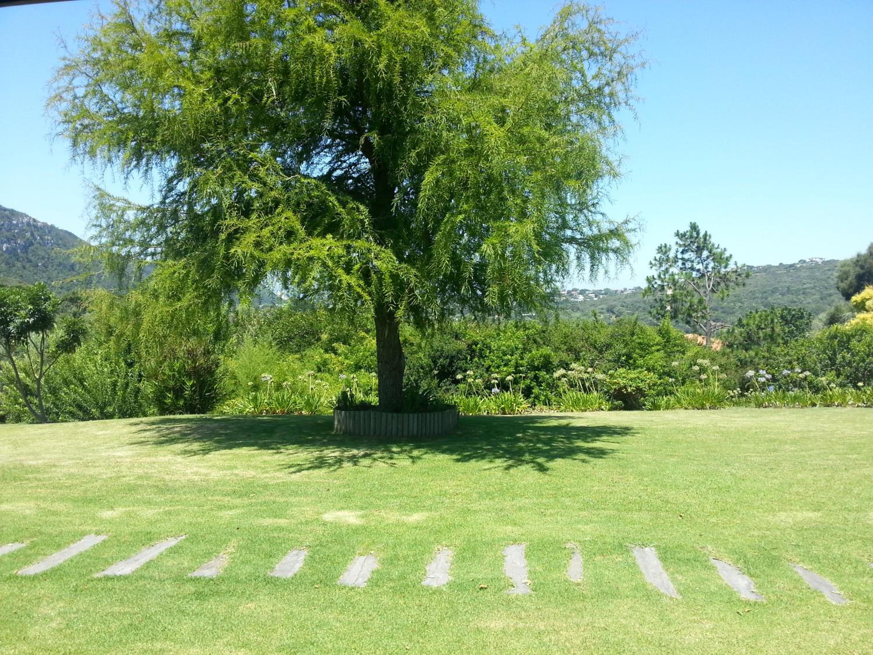Piesang Valley Lodge 20/31