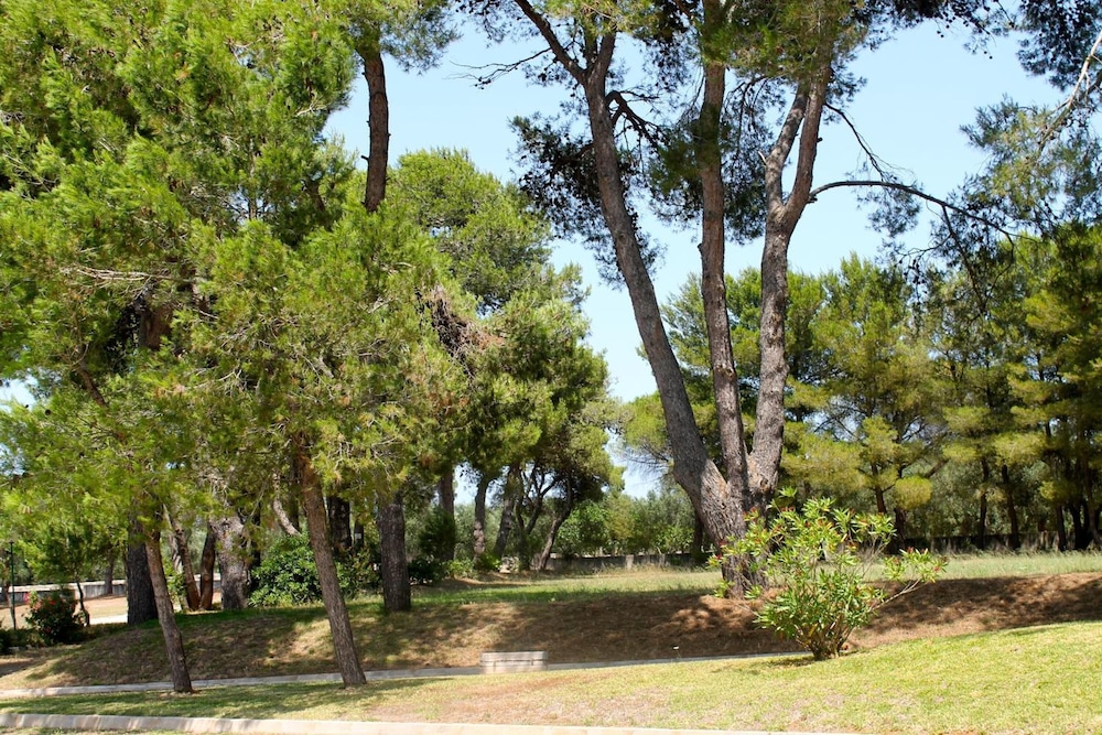 Hotel Masseria Fabrizio 5/62