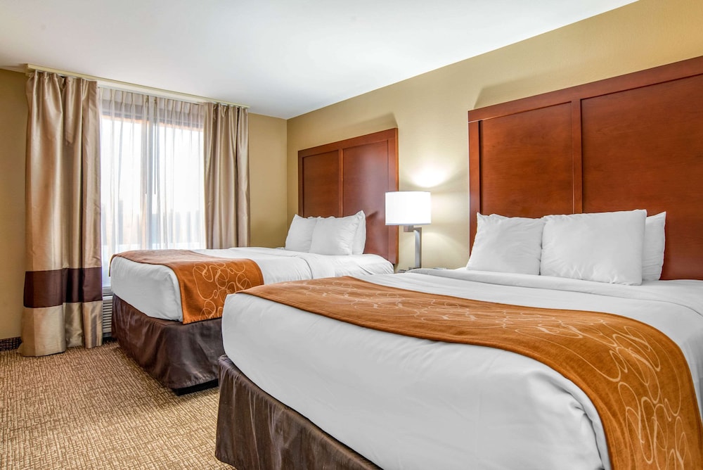 Comfort Suites Gulfport Central, MS 18/49