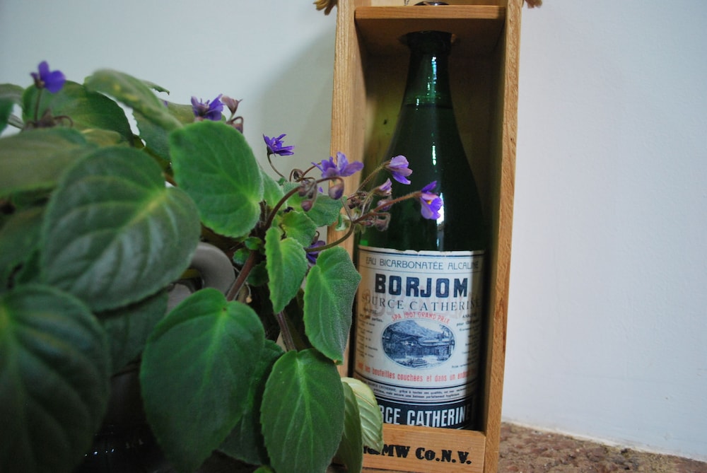 Hotel Old Borjomi 15/50