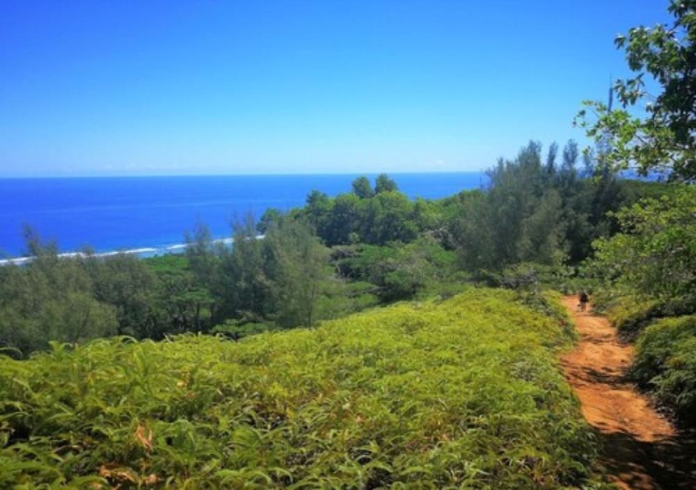 Rarotonga Golfseaview 20/28