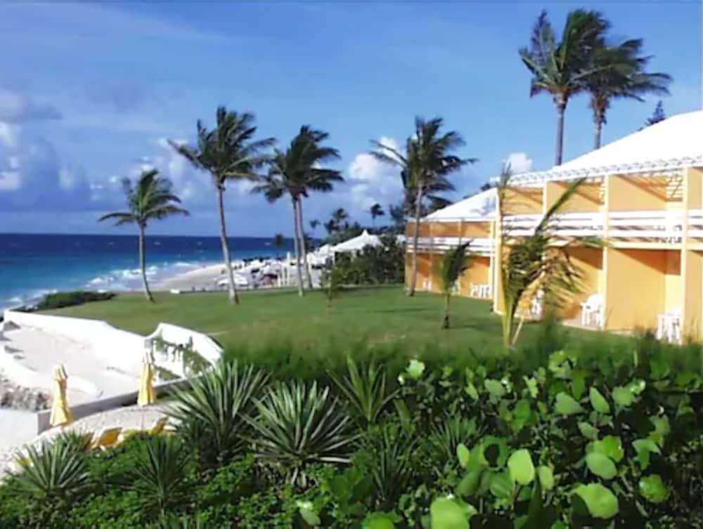 Coco Reef Bermuda 8/62