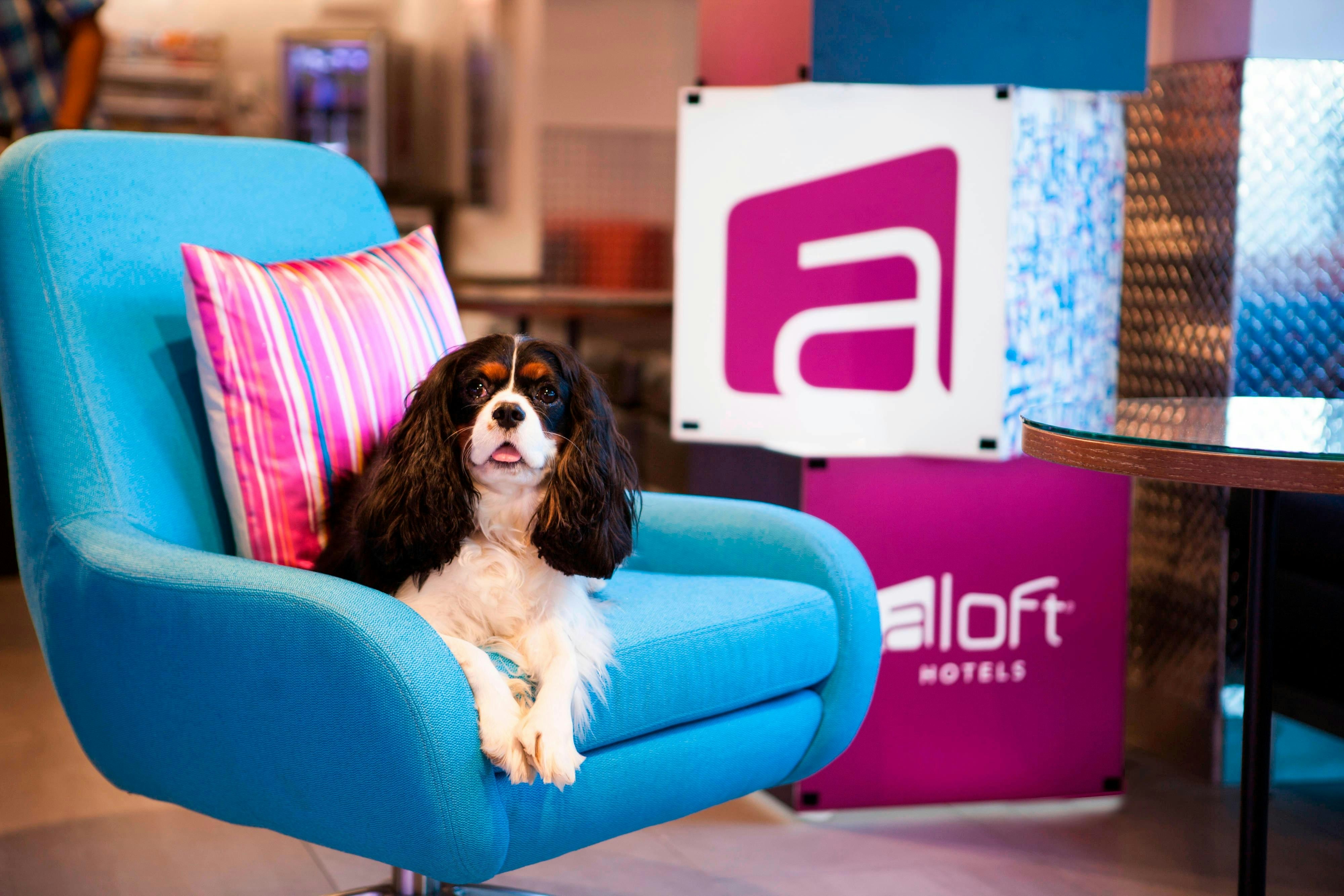 Lobby at Aloft Miami Dadeland, MIAMI - FL