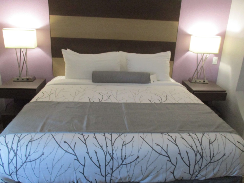 Best Western Plus Buda Austin Inn and Suites 13/35