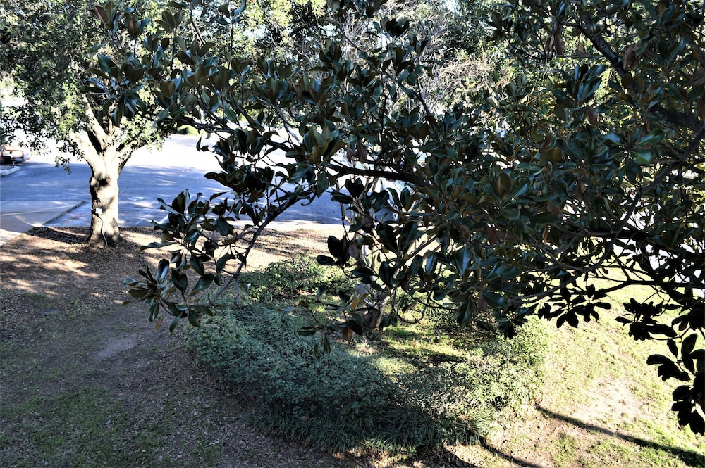 Plantation Inn 43/50