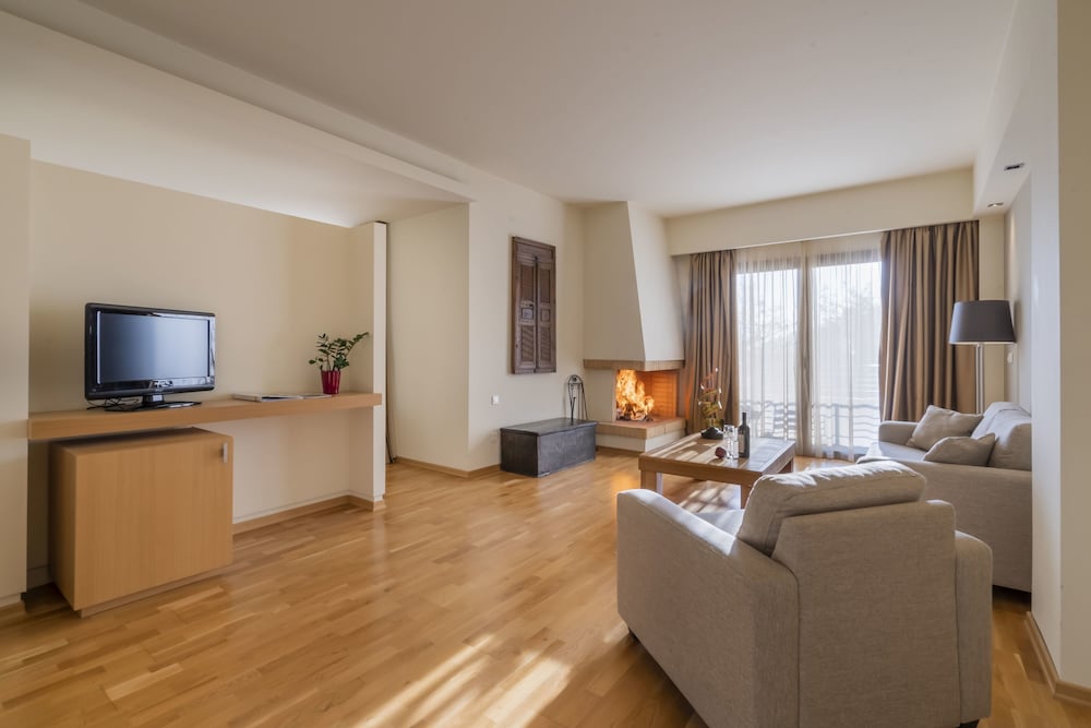 Domotel Anemolia Mountain Resort 30/34