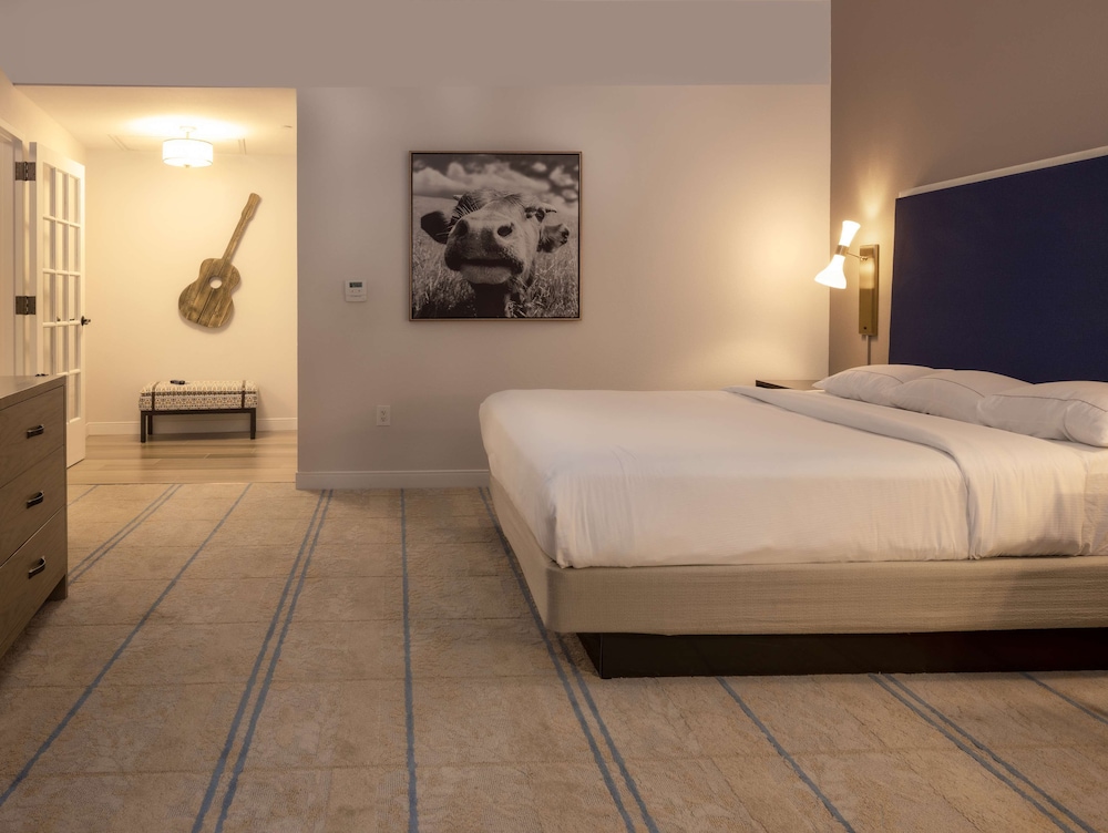 Suite, King Bed
