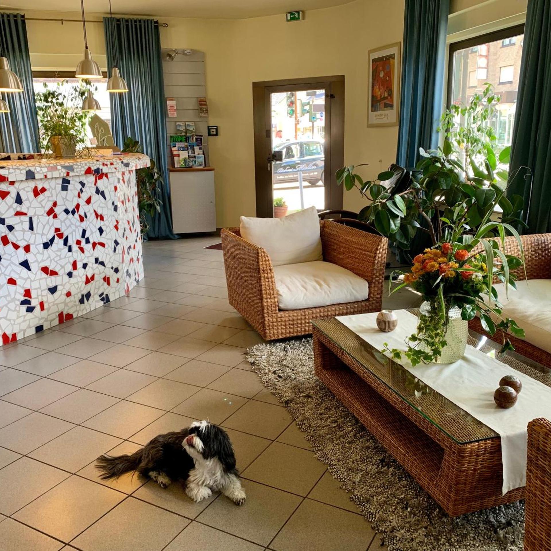 Art Hotel Koln 27/40