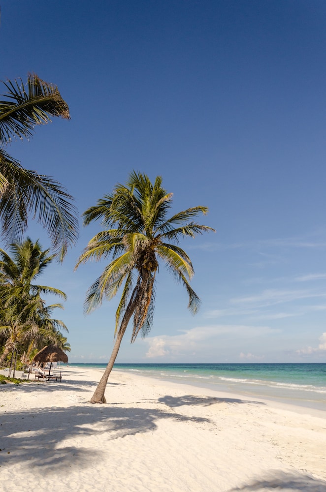 Encantada Tulum 43/50