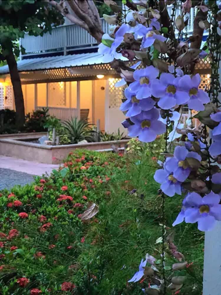 Parador Villa Parguera 5/50