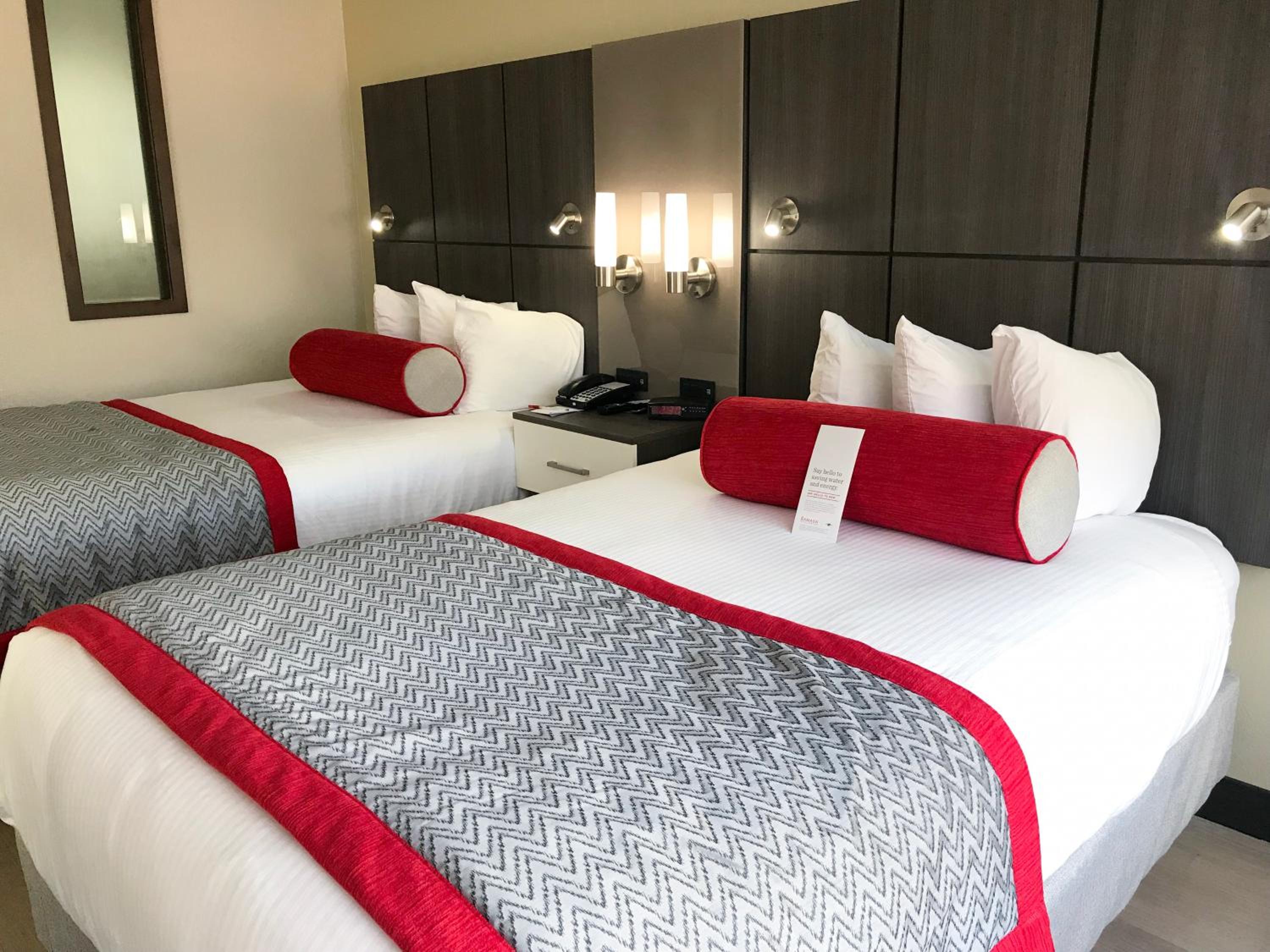 Studio, Suite, 2 Double Beds, Sofa