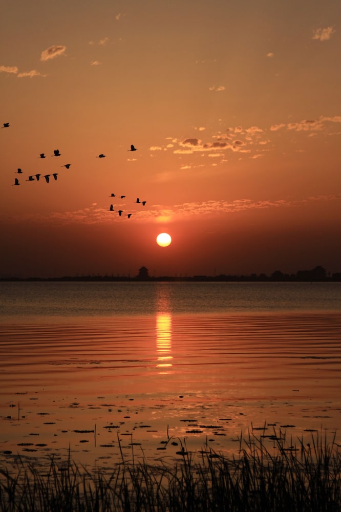 Fairmont Yangcheng Lake 41/50
