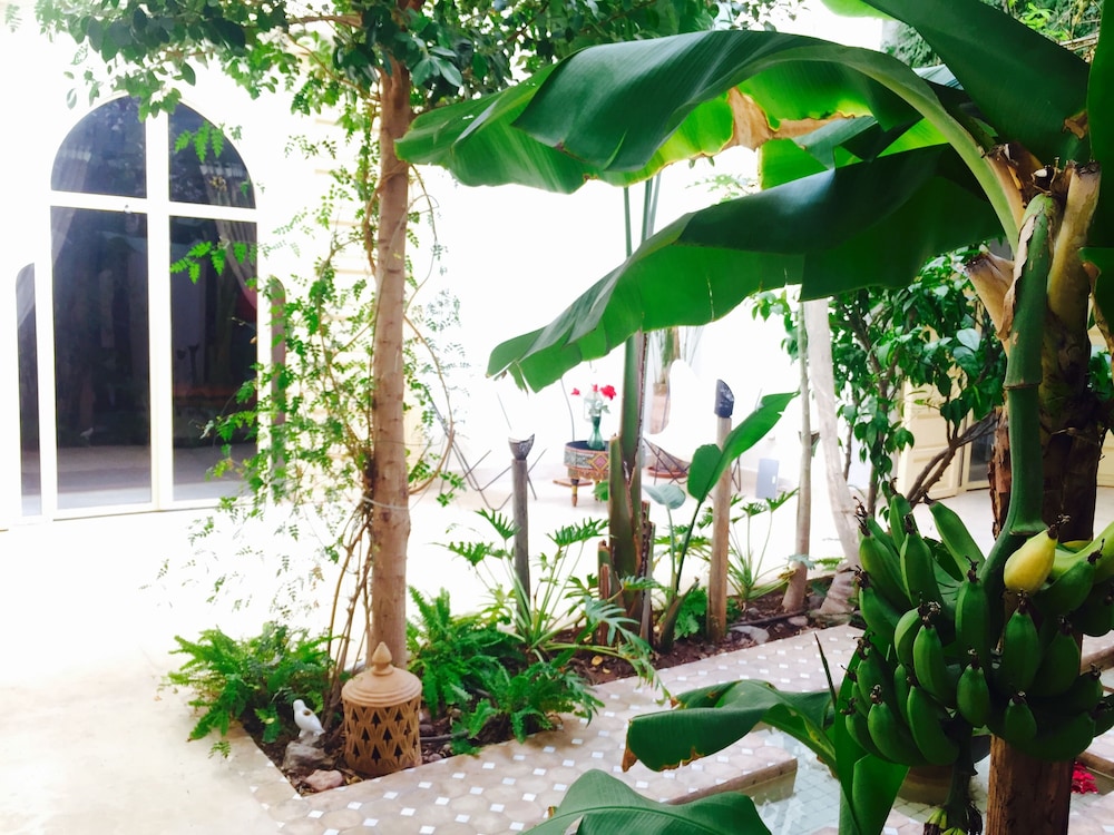 Riad 144 2/50