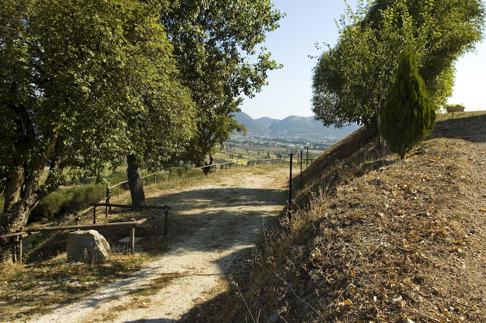 Azienda Agraria Montelujano 23/35