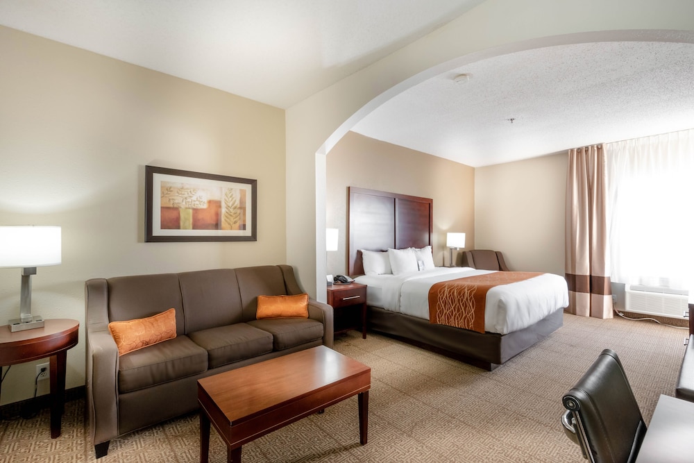 Comfort Inn & Suites Love Field Dallas Market Center 10/37