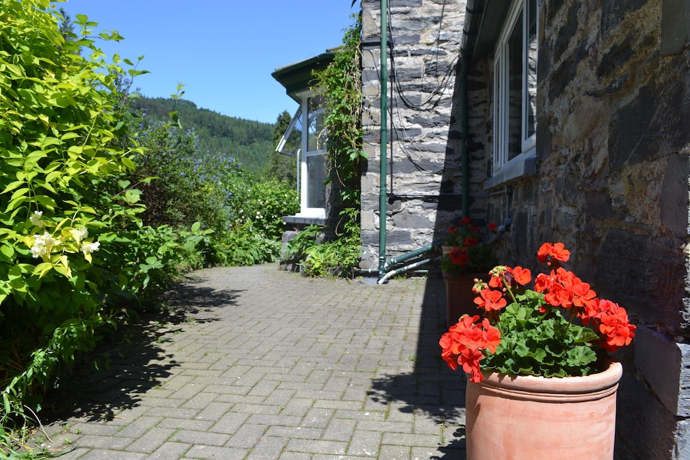 COED-Y-FRON GUEST HOUSE 27/30