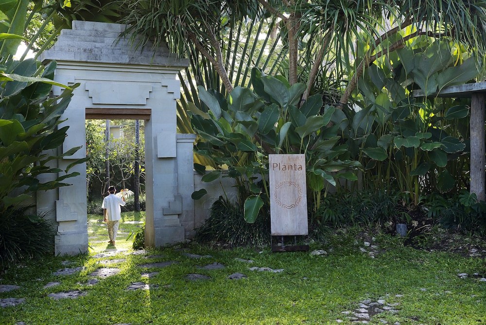 Planta Luxury Boutique Resort 8/56