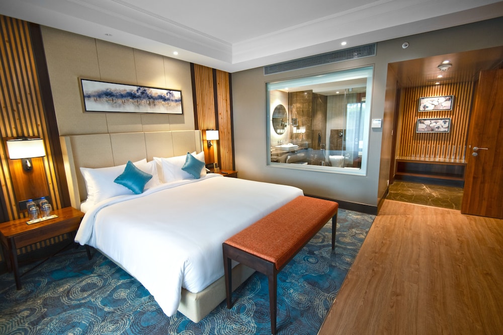 Radisson Blu Resort Dharamshala 29/79