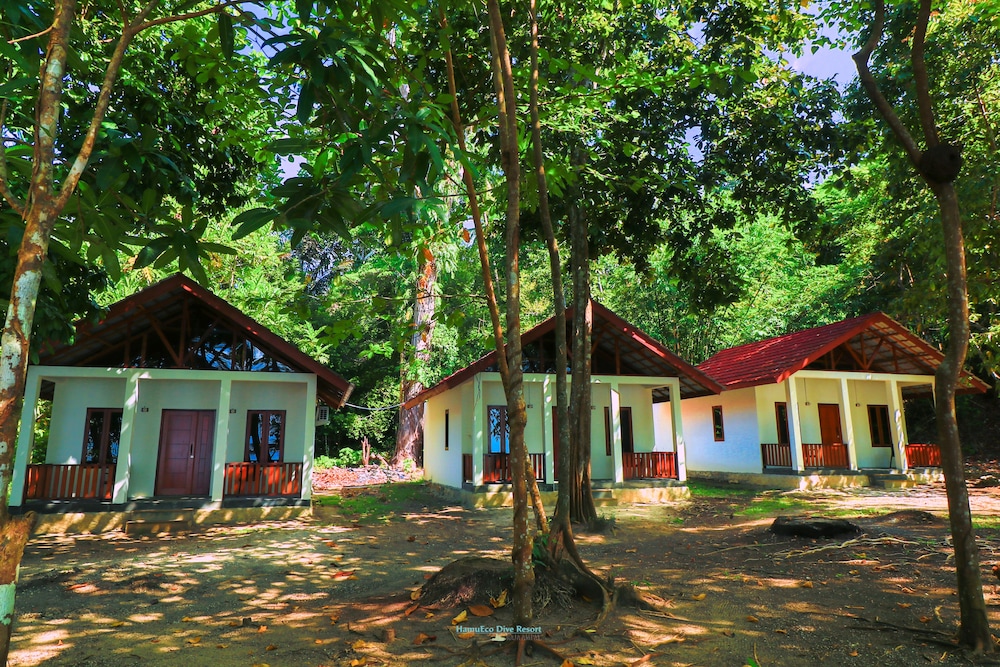 HamuEco Dive Resort Raja Ampat 38/45