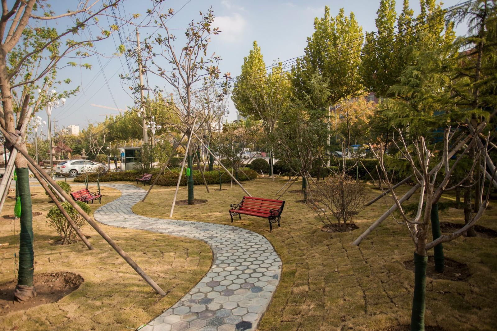 Magnotel (Jiaxiang Zengzi Avenue) 19/35
