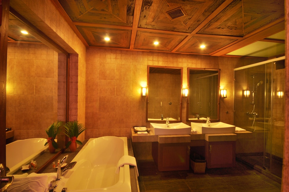 Vedic Village Spa Resort 20/50