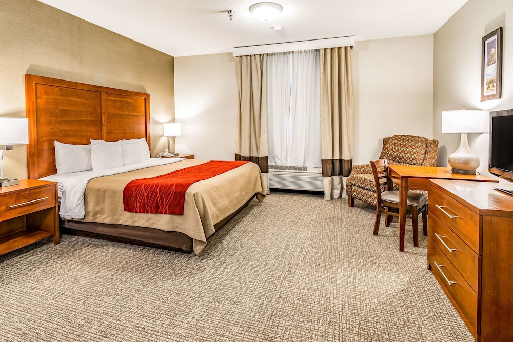 Comfort Inn & Suites Rapid City South - Mt Rushmore Gateway 21/66
