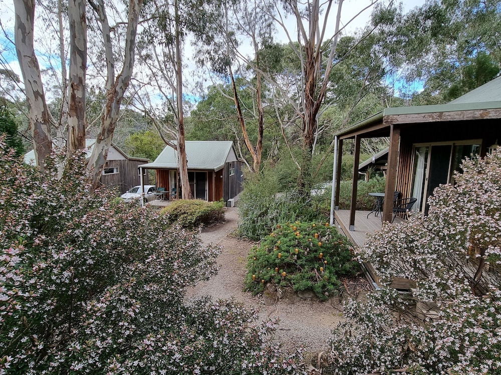D'Altons Resort 9/50