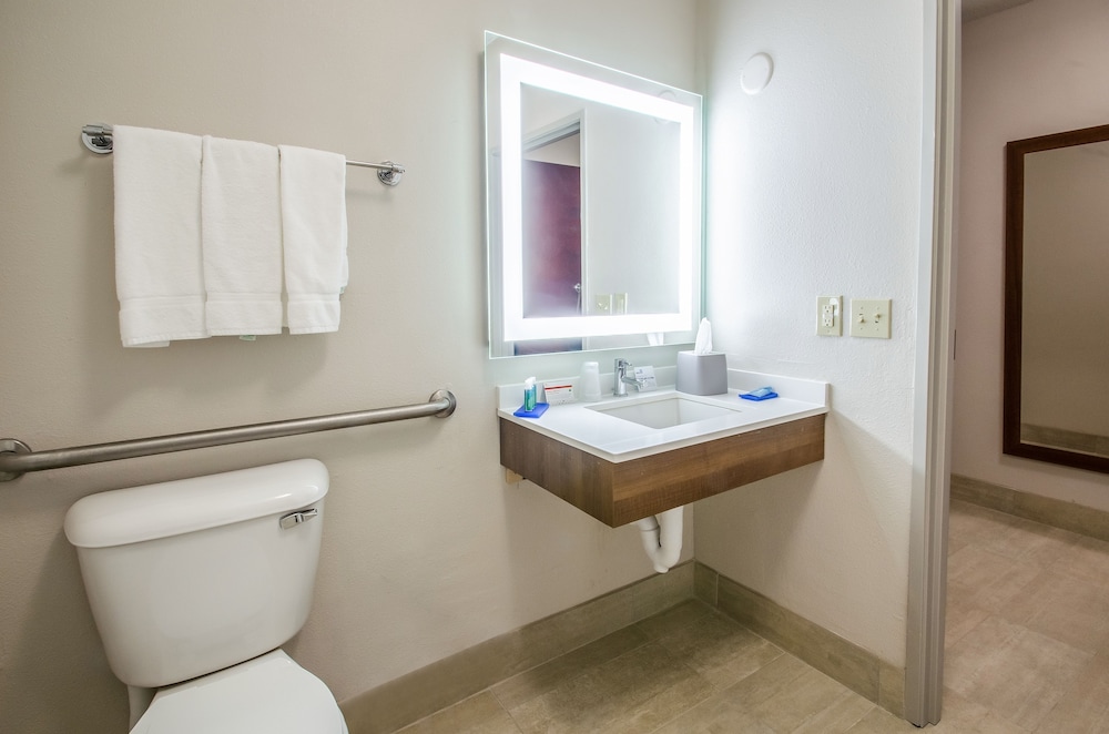 Holiday Inn Express And Suites Olathe South 21/48
