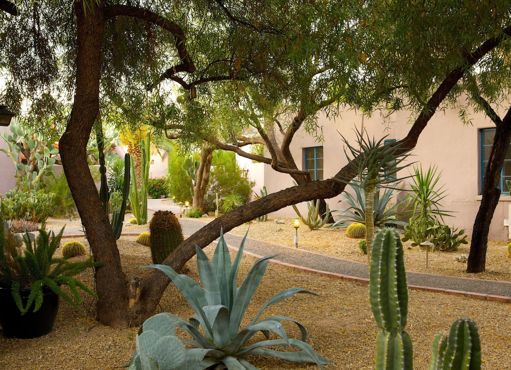 Lodge On The Desert 11/69