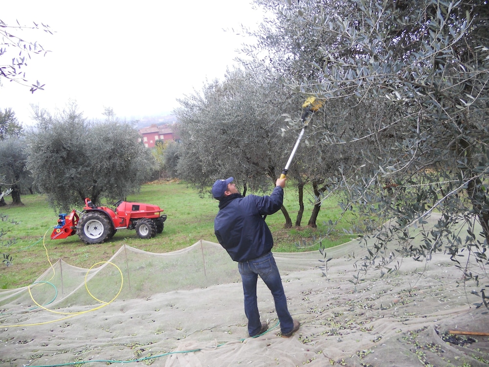 Agriturismo Collina Toscana Resort 24/50
