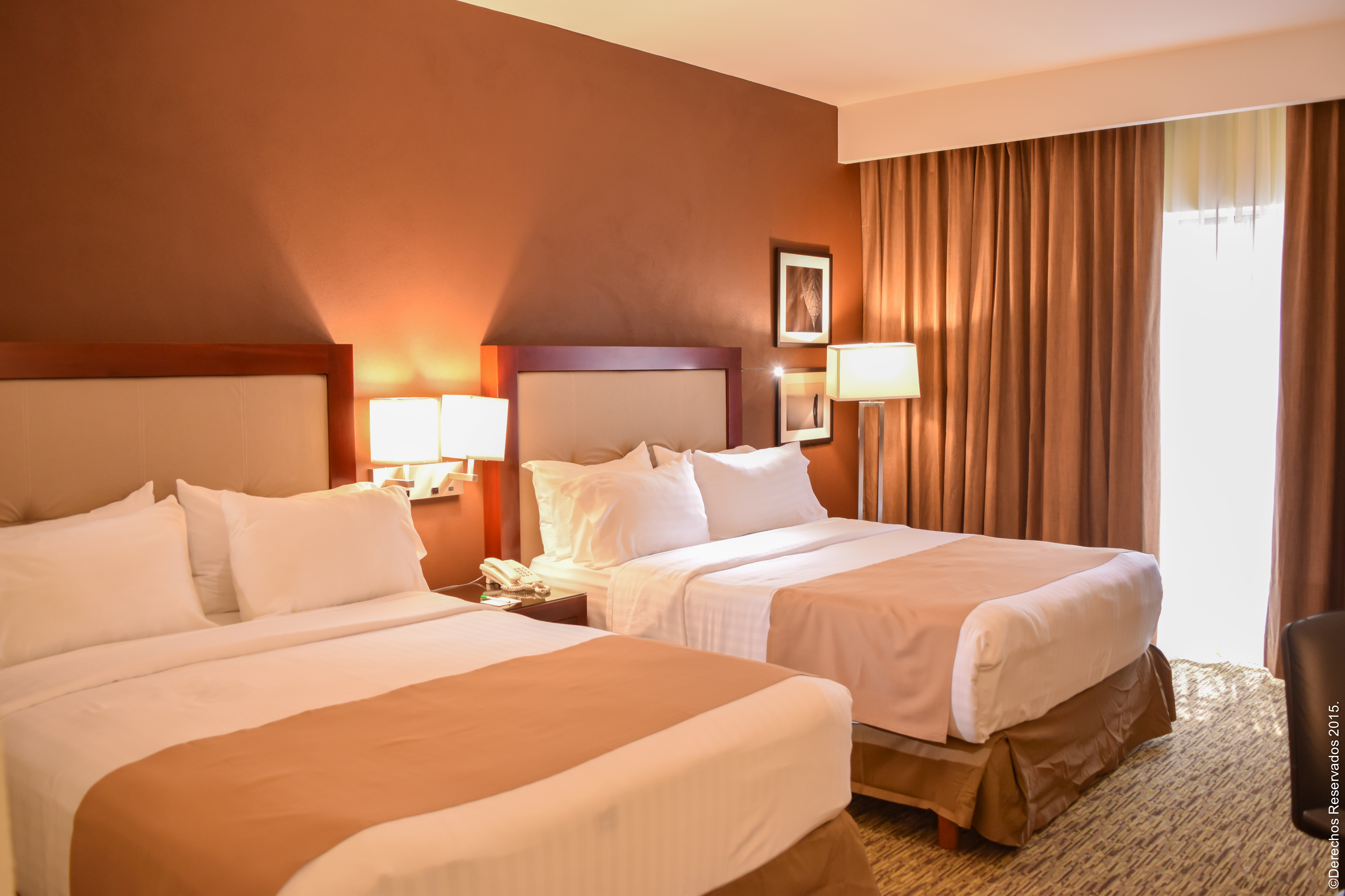 Holiday Inn Leon 19/50
