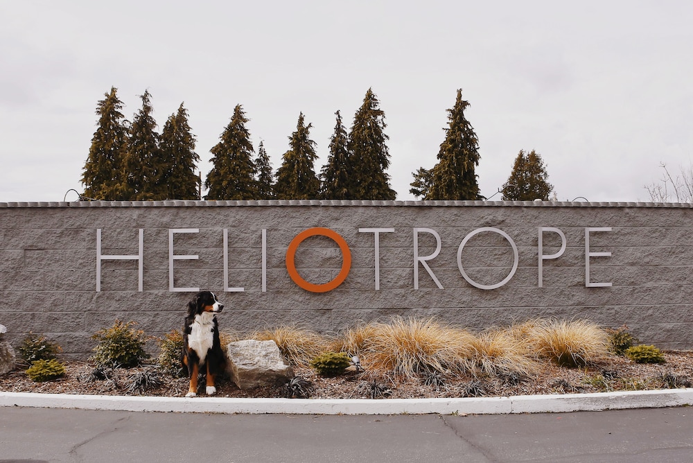 Heliotrope Hotel 3/50