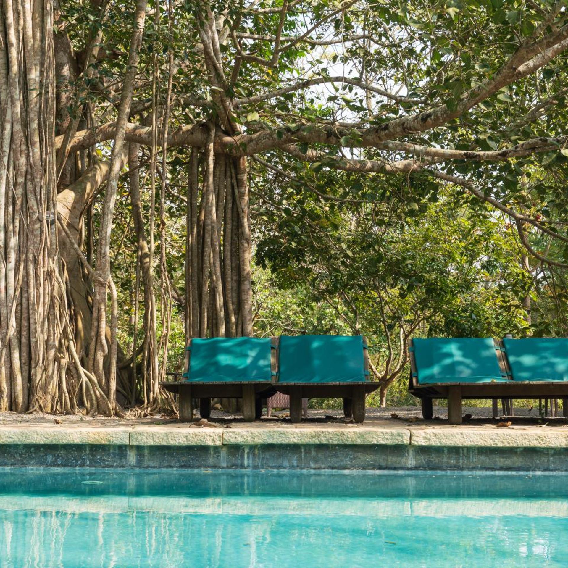 Kaav Safari Lodge 28/31
