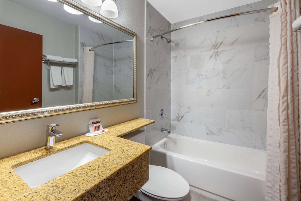 Microtel Inn & Suites by Wyndham BWI Airport Baltimore 19/40