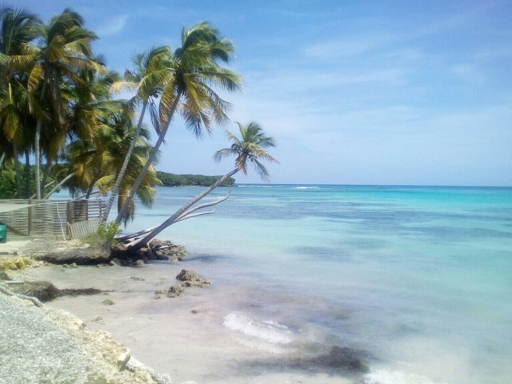 Coco Beach Marie Galante 35/50