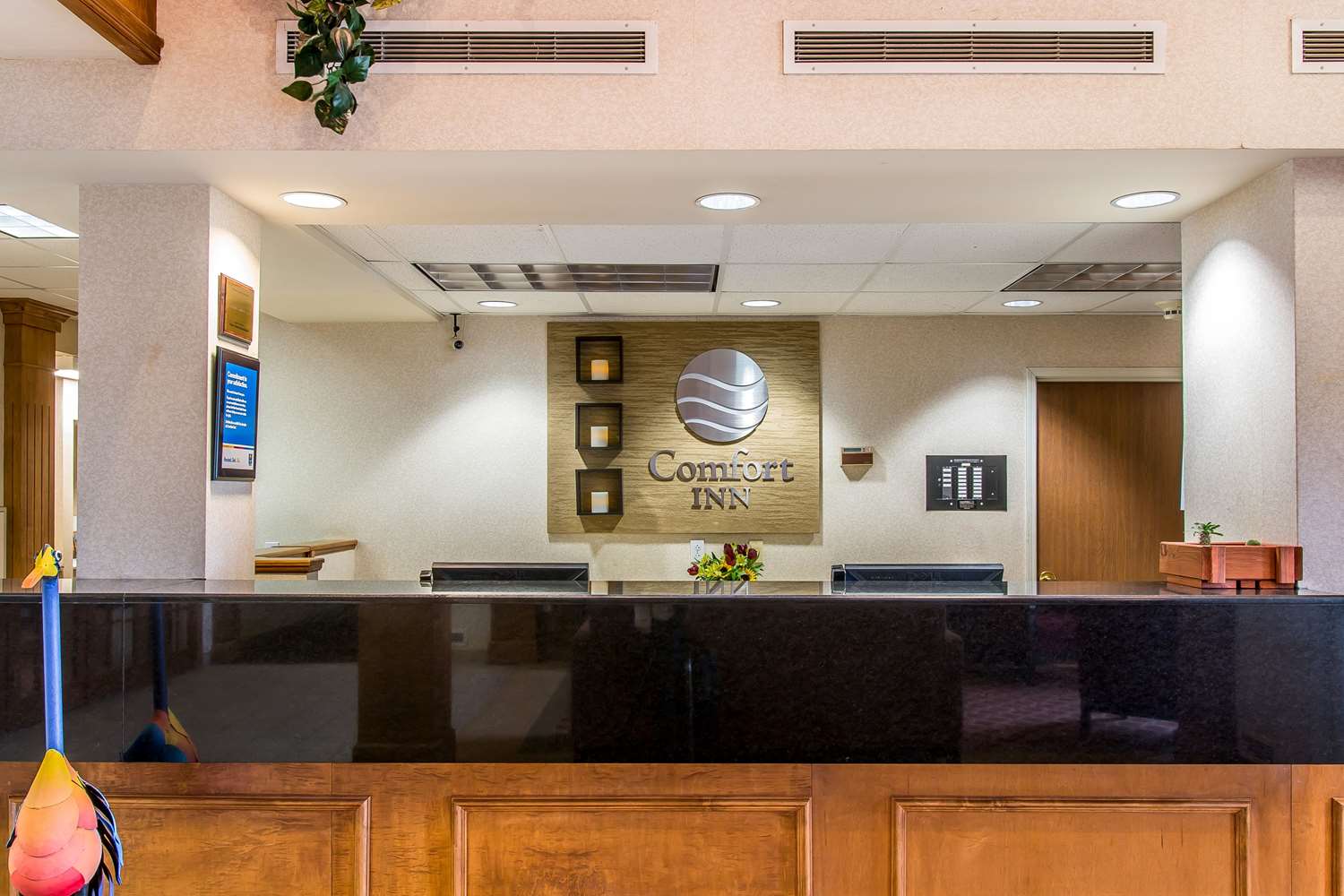 Comfort Inn Chelsea, MI 5/24