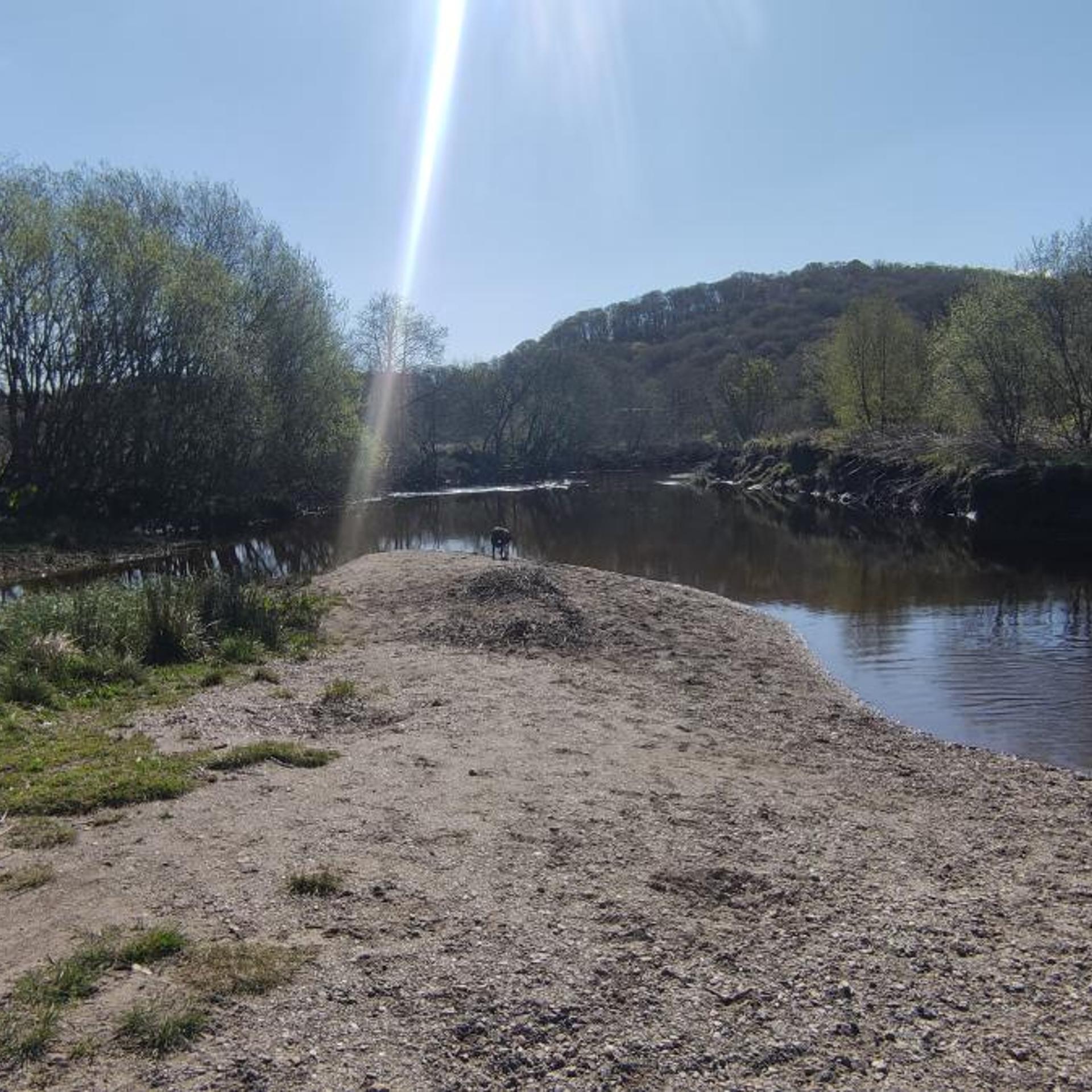Rob Roy 29/38