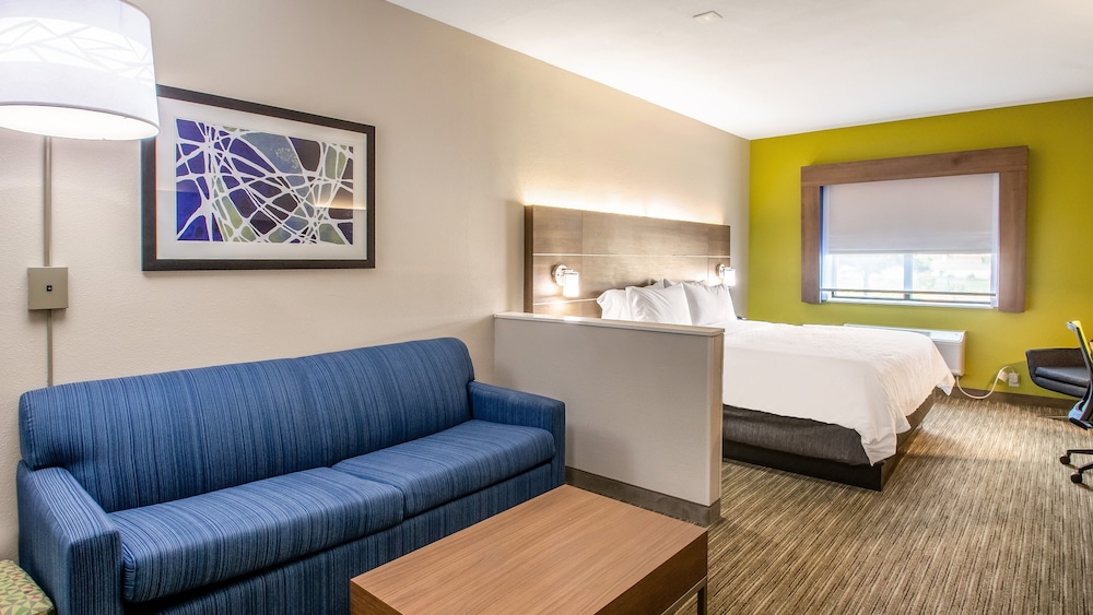 Holiday Inn Express And Suites Olathe South 20/48