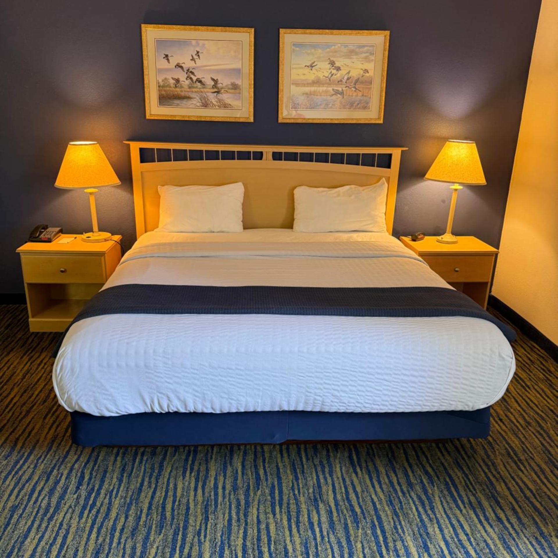 Ameristay Inn & Suites 4/19