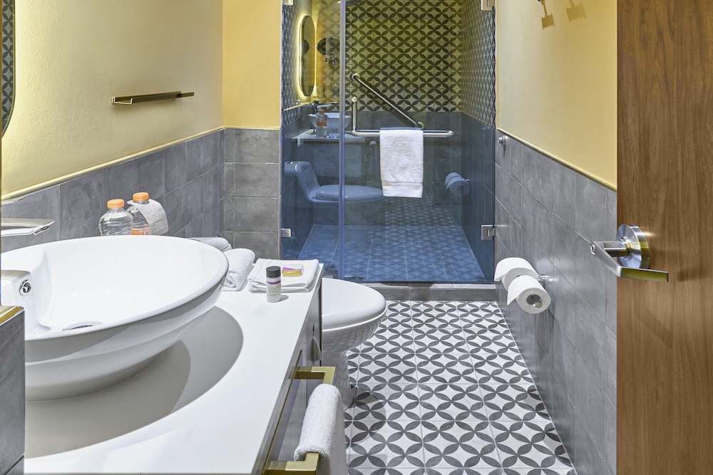 City Centro by Marriott San Luis Potosi 46/49