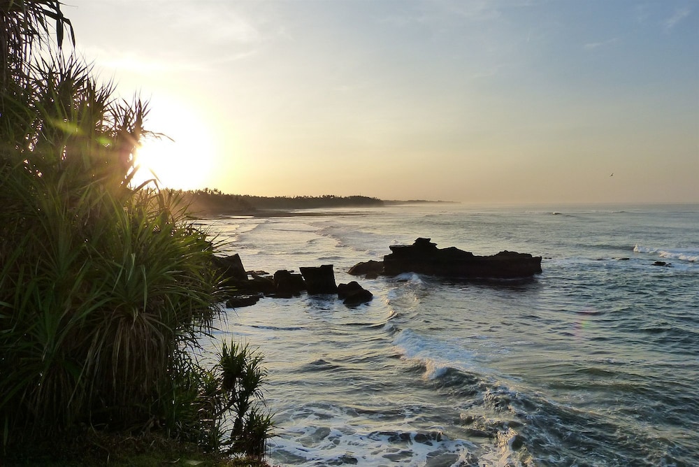 GAJAH MINA BEACH RESORT 33/50